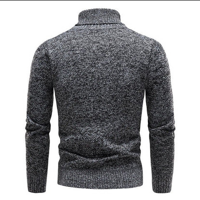 Camiel | moderner rollkragenpullover