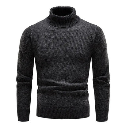 Camiel | moderner rollkragenpullover